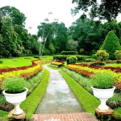 Kandy Botanical Garden