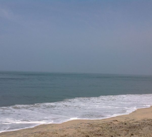Cochin Beach