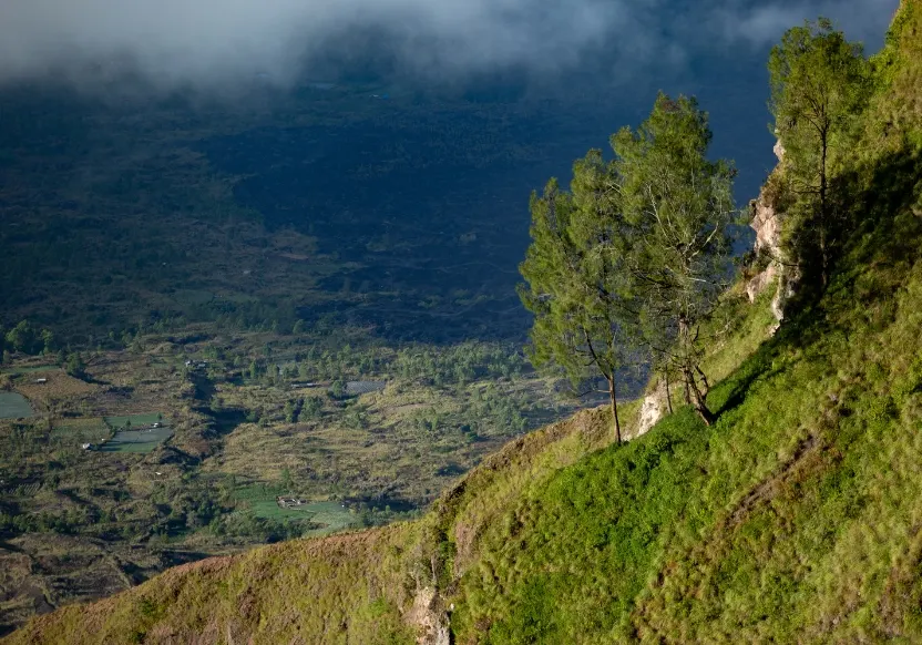 kodaikanal-tour-packages
