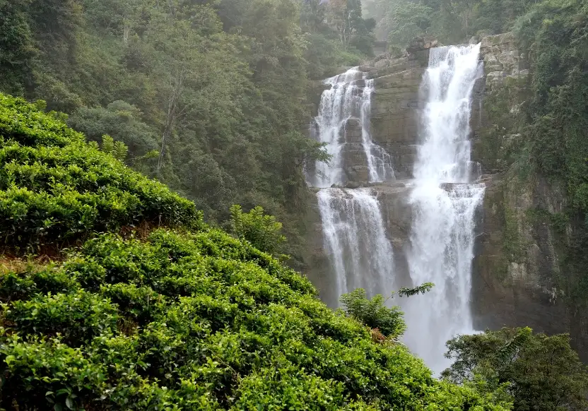 kodaikanal-tour-packages