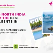 Travel agents in Chennai offering North India tour packages. Best travel agency in Chennai for easy travel planning.