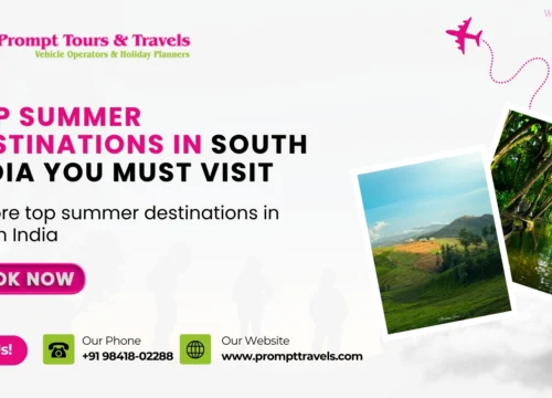 Top Summer Destinations in South India You Must Visit