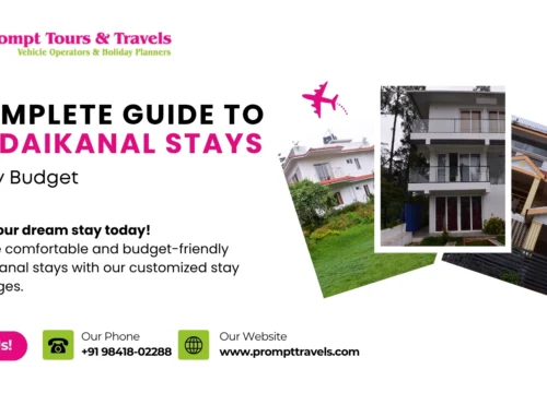 Complete Guide to Kodaikanal Stays for Every Budget