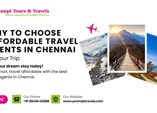 Why choose affordable travel agents in Chennai for your trip?