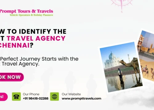 How to identify the best travel agency in Chennai?