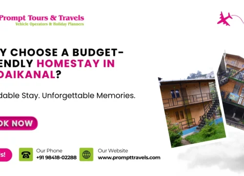 Why Choose a Budget-Friendly Homestay in Kodaikanal?