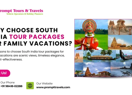 Why Should You Opt for South India Tour Packages?