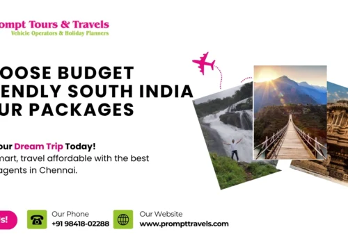 Top Reasons to Choose Budget-Friendly South India Tour Packages
