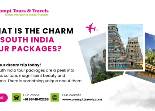What is the value and importance of South India tour packages?