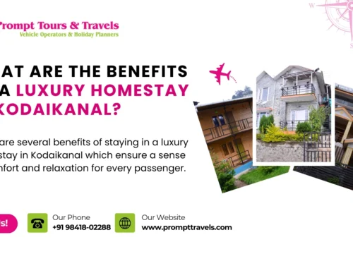 A Guide to Luxury Homestay in Kodaikanal