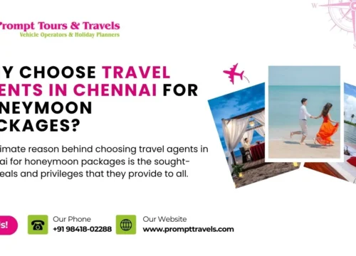 Why Choose Travel Agents in Chennai for Honeymoon Packages?