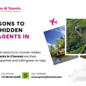 travel-agents-in-chennai