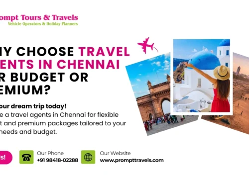 Why Choose a Travel Agency in Chennai for Budget or Premium Packages?