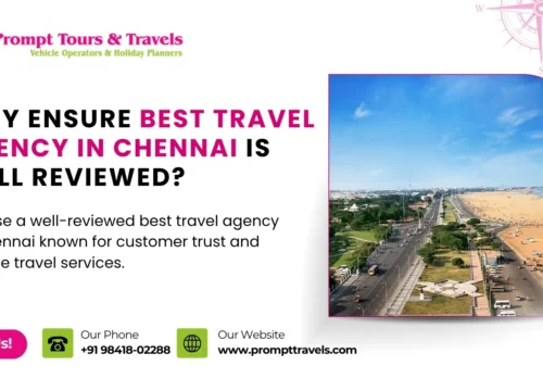 Why ensure that the best travel agency in Chennai is well reviewed?