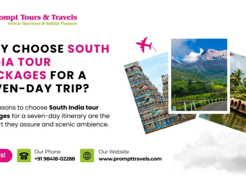 Why Choose South India Tour Packages for a Seven-Day Itinerary?