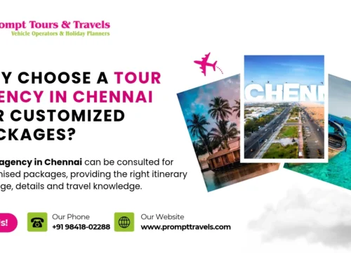 Why Choose a Tour Agency in Chennai for Customized Packages?